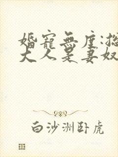 婚宠无度:总裁大人是妻奴 小说