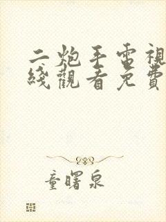 二炮手电视剧在线观看免费
