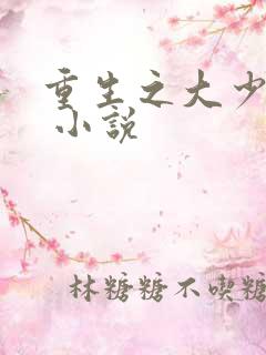 重生之大少归来 小说