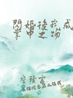 闪婚后我成大佬掌中之物