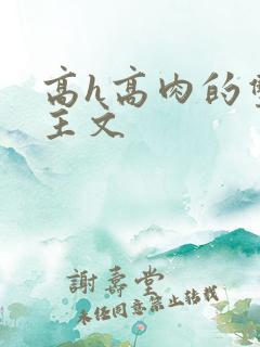 高h高肉的双男主文