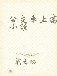 公交车上高潮了小说