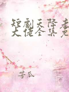 短剧天降老公是大佬全集免费观看
