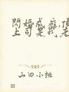 闪婚成瘾,顶头上司是我老公短剧免费看