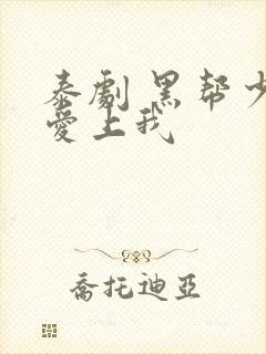 泰剧 黑帮少爷爱上我