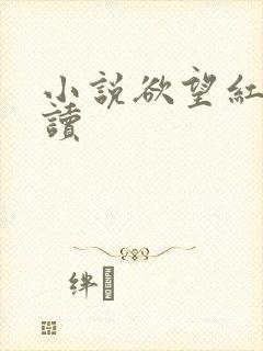 小说欲望红杏阅读
