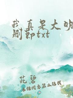 我真是大明星无删节txt