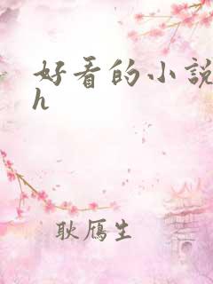 好看的小说言情h