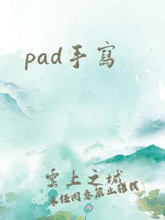 pad手写