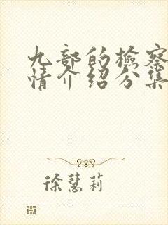 九部的检察官剧情介绍分集