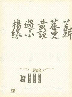 杨过黄蓉荒岛情缘小说更新时间