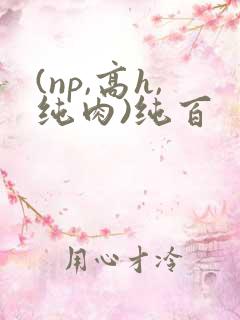 (np,高h,纯肉)纯百