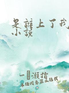 是谁上了我的床小说