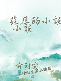 苏辰的小说主角 小说