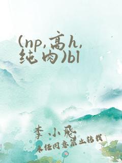 (np,高h,纯肉)bl