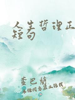 人生哲理正能量短句