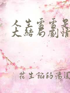 人生处处是惊喜大结局剧情