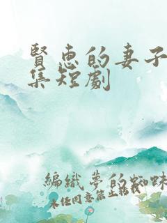 贤惠的妻子29集短剧
