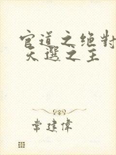 官道之绝对权力 天选之主