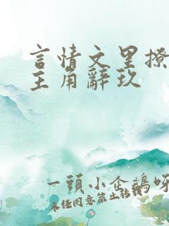 言情文里撩直男主角辞玖