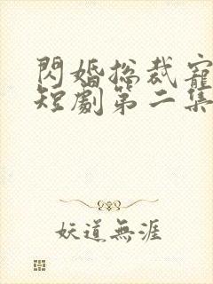 闪婚总裁宠上天短剧第二集在线观看