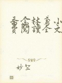 乔念林鸢小说免费阅读全文无弹窗