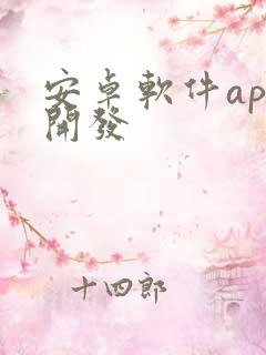 安卓软件app开发