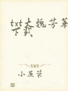 txt大魏芳华下载