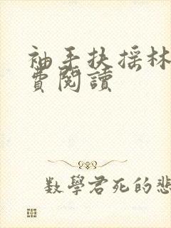袖手扶摇林凡免费阅读