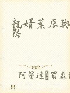 龙婿叶辰与萧初然