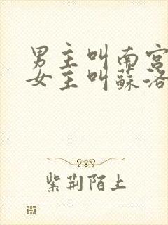 男主叫南宫流云女主叫苏洛的小说