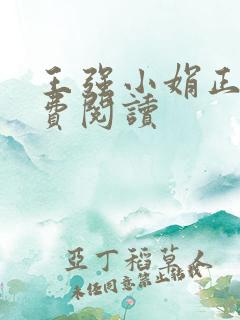 王强小娟正版免费阅读