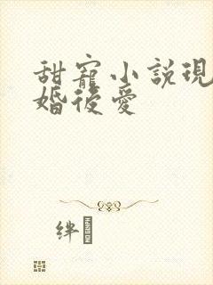 甜宠小说现言先婚后爱