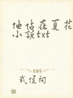 他站在夏花绚烂小说txt