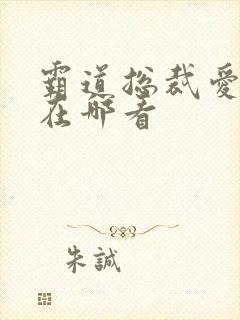 霸道总裁爱上我在哪看