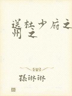 送杜少府之任蜀州 之