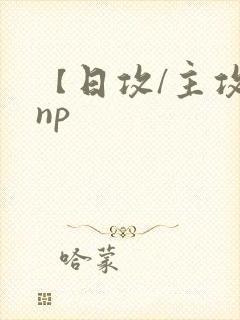 【日攻/主攻】np