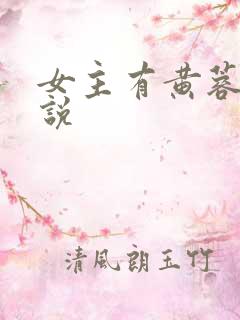 女主有黄蓉的小说
