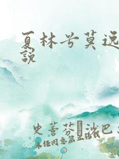 夏林兮莫逸然小说