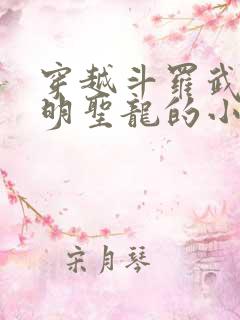 穿越斗罗武魂光明圣龙的小说 穿越斗罗武魂光明圣龙的小说