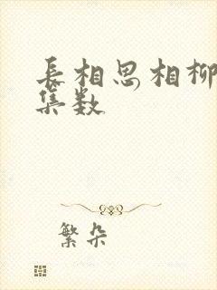 长相思相柳出场集数
