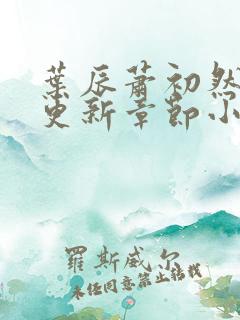 叶辰萧初然最新更新章节小说下载