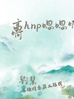 高hnp嗯嗯啊啊