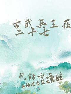 古武兵王在都市 二十七