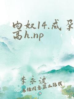 肉奴14.成孕高h.np