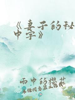 《妻子的秘密3中字》
