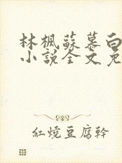 林枫苏慕白穿越小说全文免费阅读道
