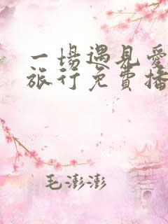 一场遇见爱情的旅行免费播放