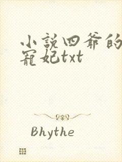 小说四爷的心尖宠妃txt