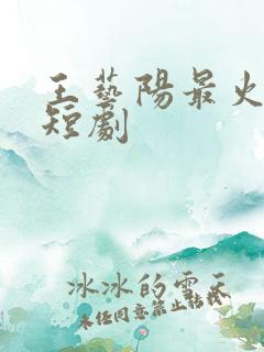 王艺阳最火十部短剧